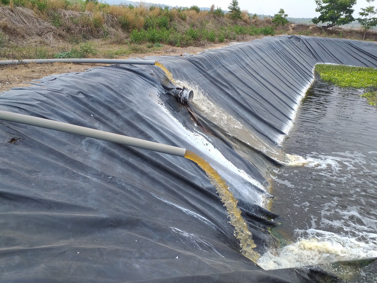 Công ty cổ phần công nghệ Hải Sơn